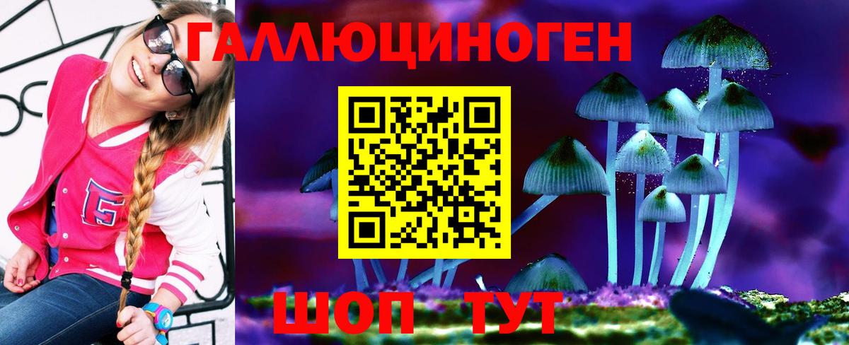 купить  цена  Вход с VPN  Псков  Псилоцибиновые грибы Cubensis  Псилоцибиновые грибы Psilocybe 